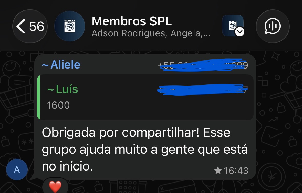 Print de WhatsApp: aluna agradecendo o grupo de membros SPL